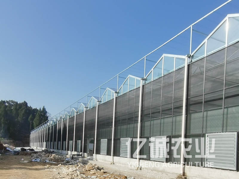 雙層薄膜連棟溫室大棚造價(jià)高不高？有哪些建造方式？