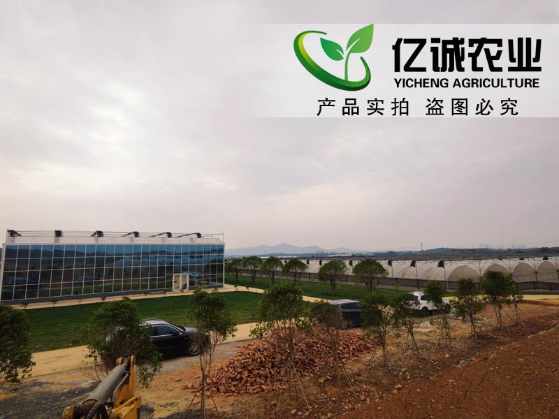 南昌溫室大棚現(xiàn)代園區(qū)運(yùn)營