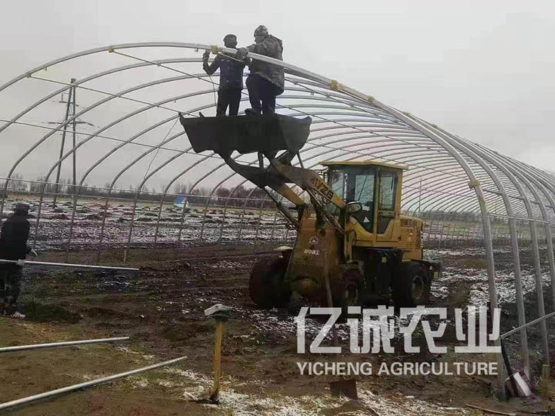 養(yǎng)殖溫室大棚施工現(xiàn)場