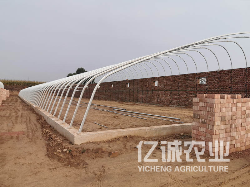 山西呂梁日光溫室大棚施工現(xiàn)場